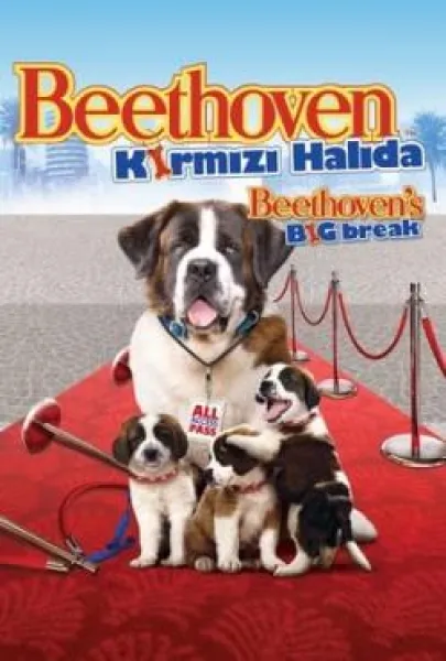 Beethoven Kırmızı Halıda
