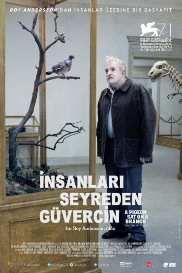 İnsanları Seyreden Güvercin