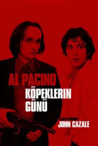Köpeklerin günü
