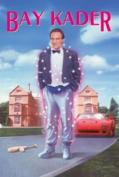 Mr. Destiny