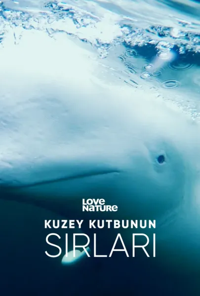 Arctic Secrets