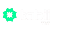 tabii